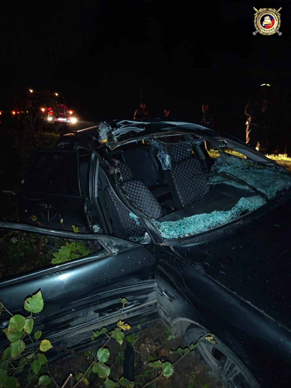 Лось спровоцировал ДТП на 150 км автодороги «Аниш» в Алатырском округе