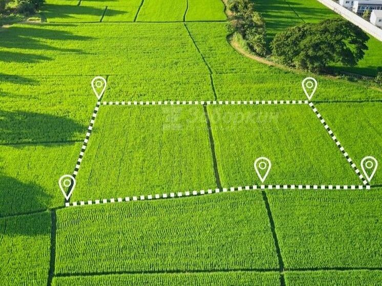 В Чувашии установлена льгота по земельному налогу для участников СВО и членов их семей