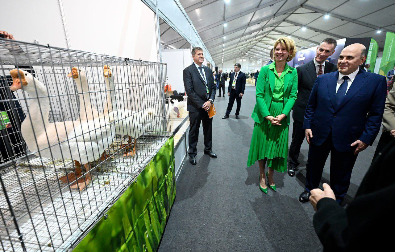 «Макулинские» — гордость чувашского птицеводства, снова в центре внимания на «Золотой осени»