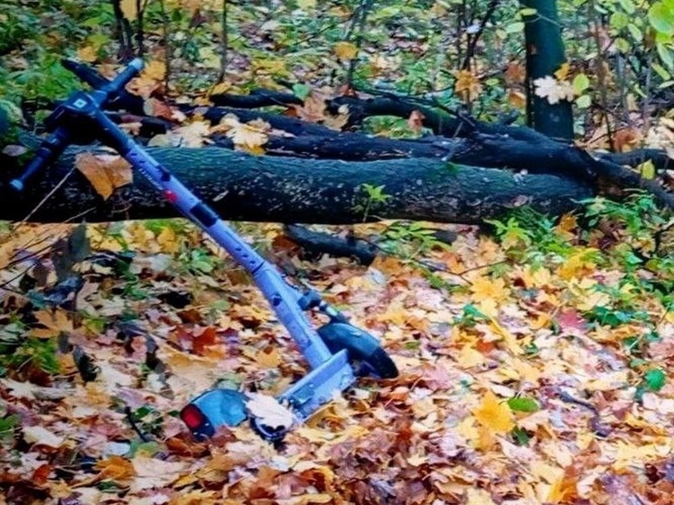 Отец поделился с сыном аккаунтом кикшеринга, а тот угнал самокат