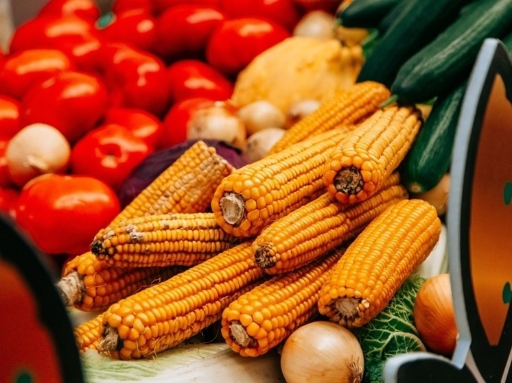 Аграрии Чувашии получат гранты на развитие ягодоводства, овощеводства и агротуризма