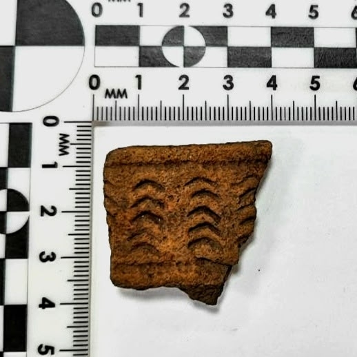 Новые археологические памятники обнаружены в Канашском округе