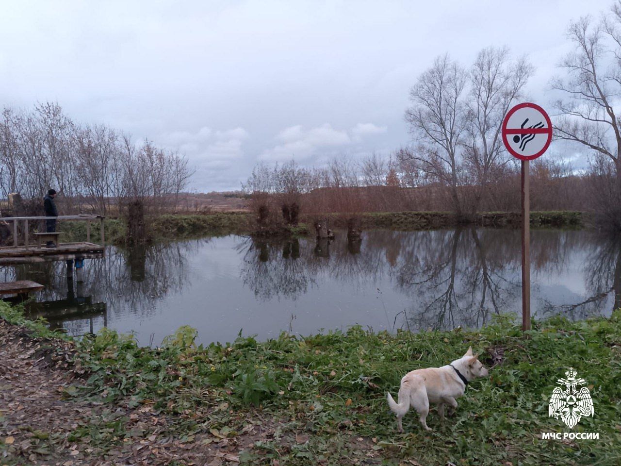 В пруду Красночетайского округа утонул 55-летний мужчина