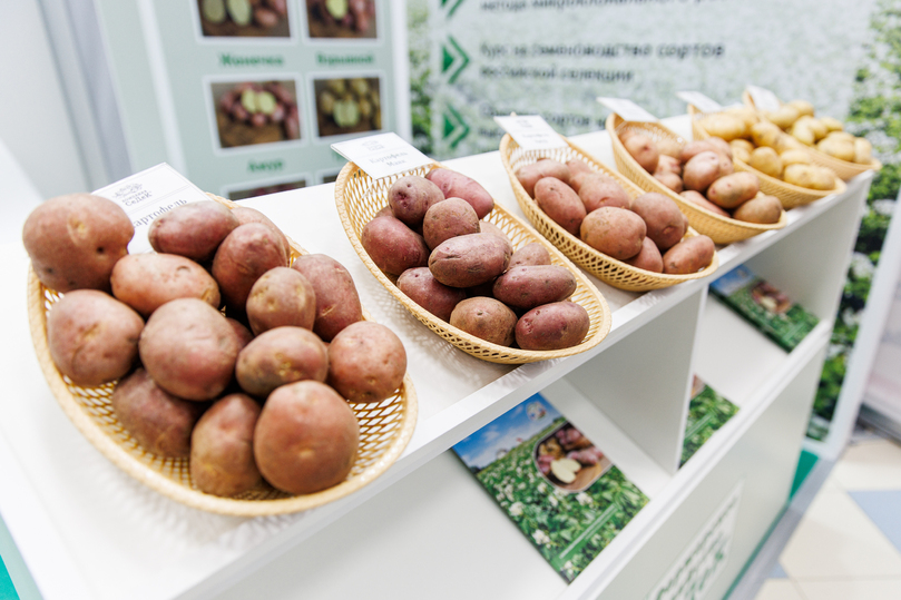 Межрегиональная выставка «Картофель» пройдет в марте 2026 года 