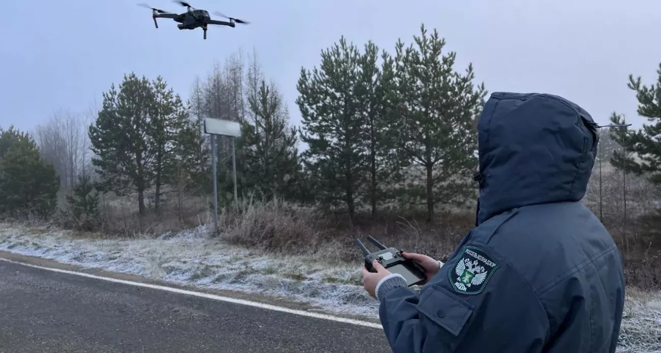 Над пятью районами Чувашии пролетели беспилотники: обнаружились неучтенный скот и другие нарушения