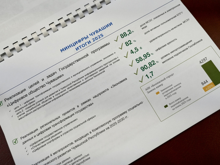 Николаев назвал комфорт и доступность приоритетом цифрового развития Чувашии