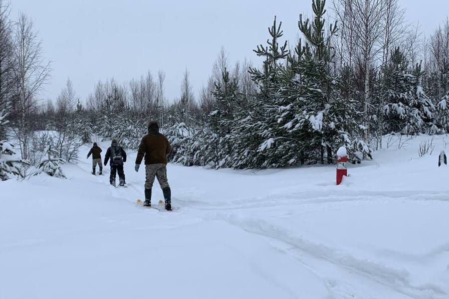 В Чувашии стартует зимний учёт диких животных